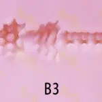 B3