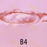 B4